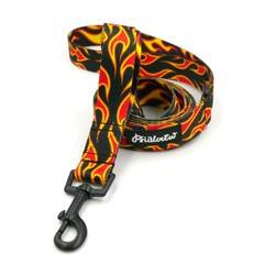 Hundeleine Dog On Fire Breite 2,5 cm, 1" breit, schwarzer Karabinerhaken 6 cm