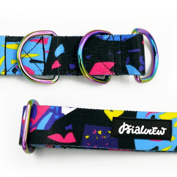 Half-choke collar Terrazzo, 3 cm wide, medium and big dogs, holo extras