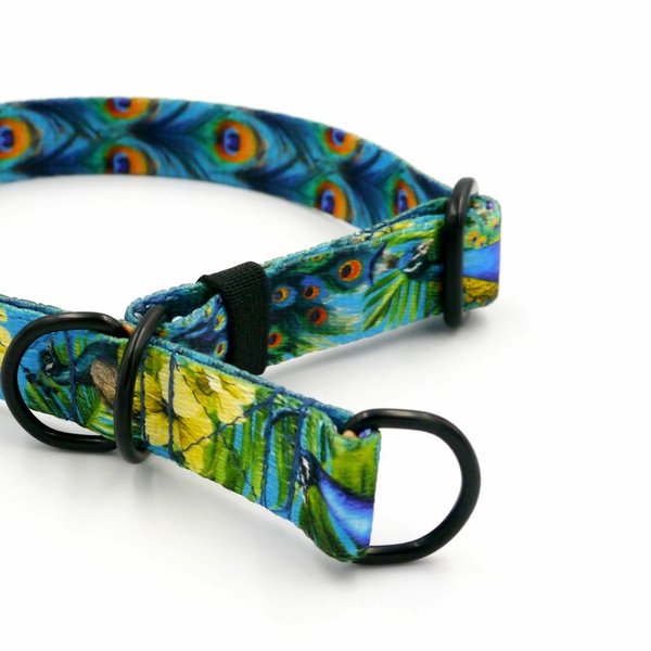 Obroża półzaciskowa Pawie Oczko szeroka na 2 cm, dla małych psów, czarne dodatki