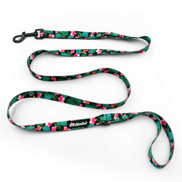 City-Leine für Dog Tropical Monstera, Breite 2 cm, schwarzer Karabiner 7 cm