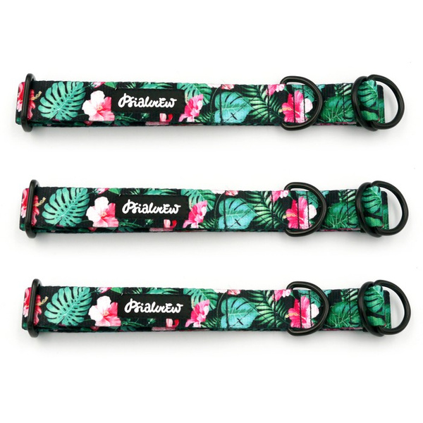 Half-choke collar Tropical Monstera, 2.5 cm wide, medium and big dogs, black extras