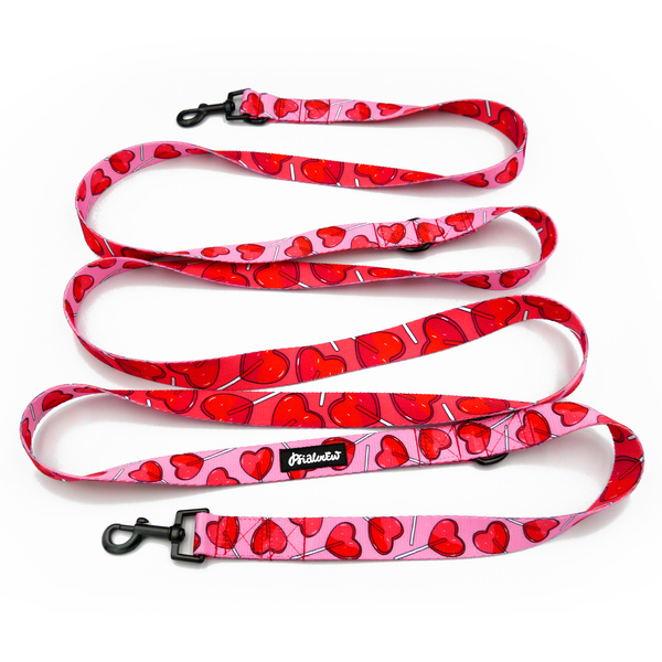 Dog Leash Lollipops Psiakrew width 2.5 cm, 1" wide, snap hook black 6cm