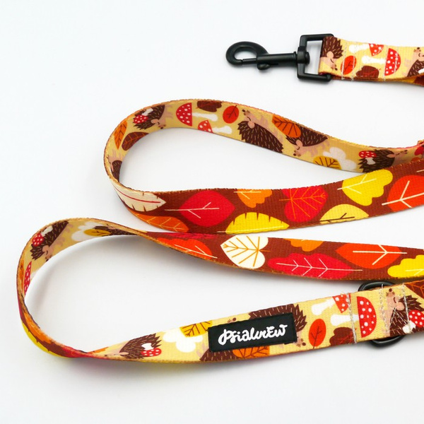 Smycz spacerowa miejska dla Psa Jeż Marzyciel Psiakrew, szerokość 2,5 cm, czarny karabińczyk 6cm