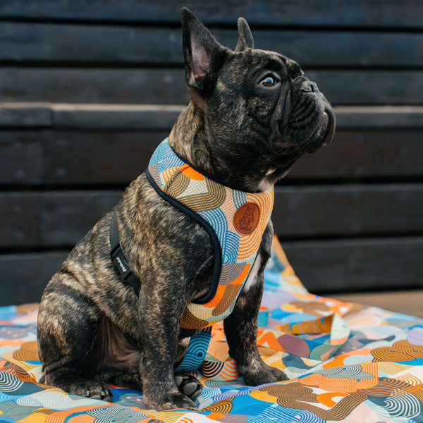 Geo Snake Psiakrew Hundegeschirr, druckfreier, bequemer, ultraweicher