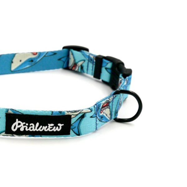 Dog Collar Psiakrew Shark 2.5 cm, 1" wide, black extras