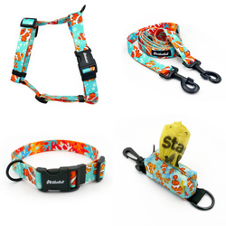 ACCESSORY KIT. Big dog. Blue Lagoon Psiakrew Series; Collar, Harness, Leash, Pouch
