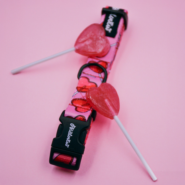 Verstellbares Halsband Lollipops Psiakrew, 2cm breit, schwarze Beschläge