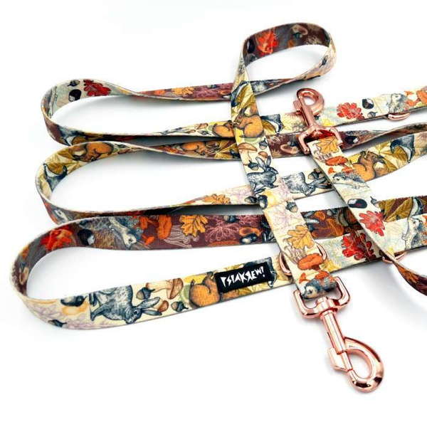 Długa Smycz Dla Psa Przepinana Regulowana Forest Treasures Psiakrew Design 2,5 cm