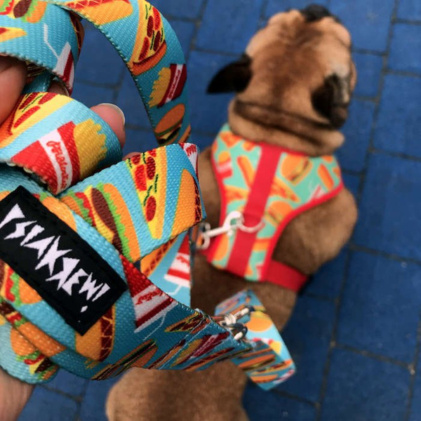 Long Dog Leash Doggy Foodie width 2 cm (0.78")  wide, black snap hook 7 cm