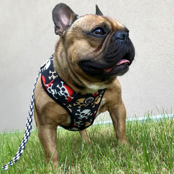 Dog Harness, Always Feeling Cool, Super Soft Psiakrew Pirates
