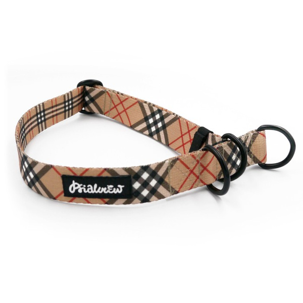 Halb-Klemmhalsband Dogberry Psiakrew, 2,5 cm breit, für mittelgroße und größere Hunde, Schwarz-Beschläge