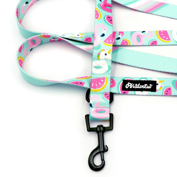 Dog Leash Azure Pool width 2.5 cm, 1"  wide, snap hook black 6cm