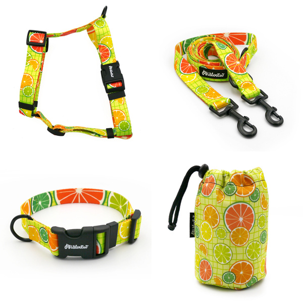 ACCESSORY KIT. Medium dog. Lemonade Psiakrew Series; Collar, Harness, Leash, Sachet for dog treats