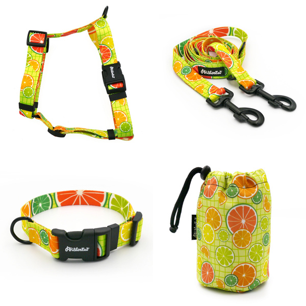 ACCESSORY KIT. Big dog. Lemonade Psiakrew Series; Collar, Harness, Leash, Sachet for dog treats