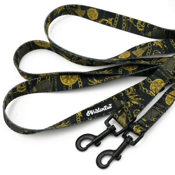 Long Dog Leash Donatella Psiakrew width 2 cm (0.78"), black snap hook 6 cm