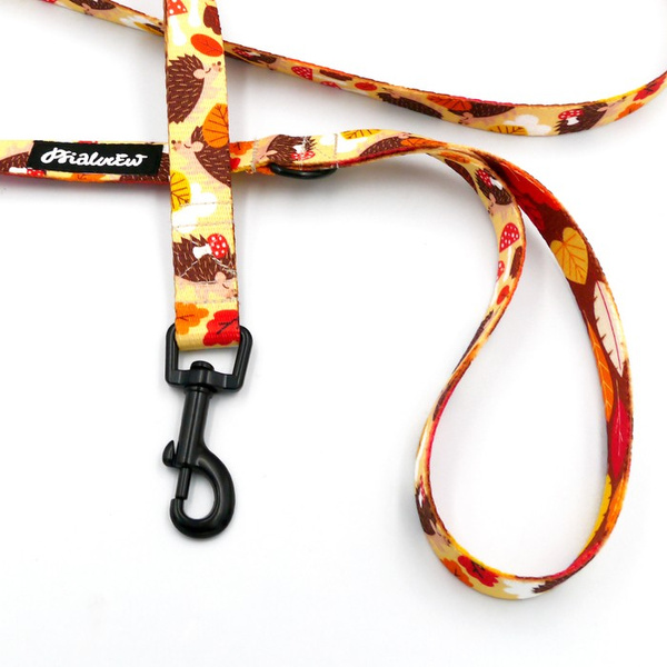 Walking leash for Dog Hedgehog Dreamer Psiakrew, width 2 cm, black snap hook 6 cm