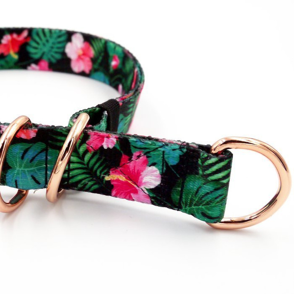 Half-choke collar Tropical Monstera, 2.5 cm wide, medium and big dogs, rose gold