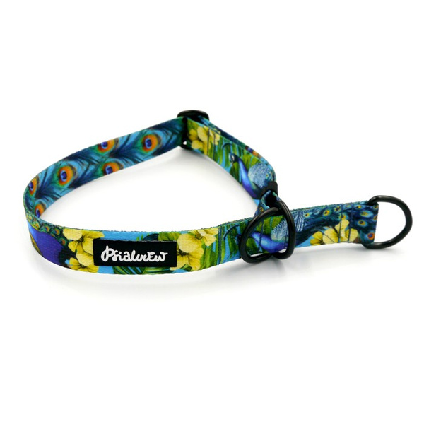 Halb-Klemmhalsband Peacock's Eye Psiakrew, 2,5 cm breit, für mittelgroße und größere Hunde, Schwarz-Beschläge