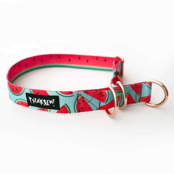 Half-choke collar Watermelon, 2.5 cm wide, medium and big dogs, rose gold