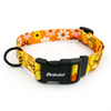 Dog Collar Busy Bees Psiakrew 2.5 cm 1"  wide, black fittings