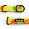 Halb-Klemmhalsband Lemonade Psiakrew, 2,5 cm breit, für mittelgroße und größere Hunde, Schwarz-Beschläge