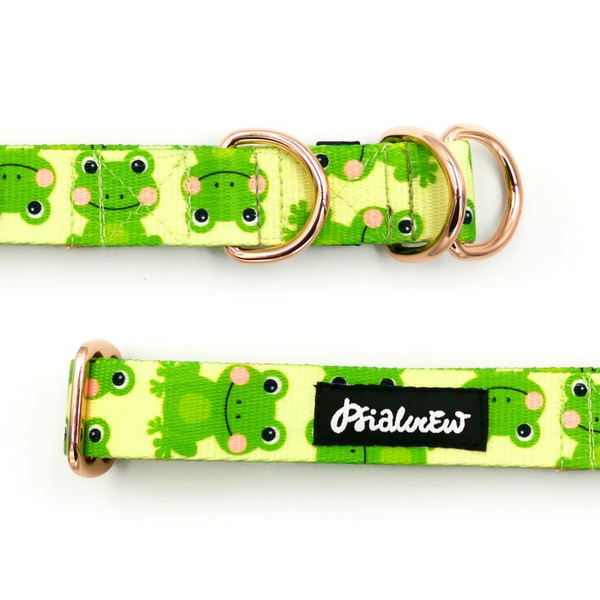 Half-choke collar Green Frogs, 2.5 cm wide, medium and big dogs, golden extras