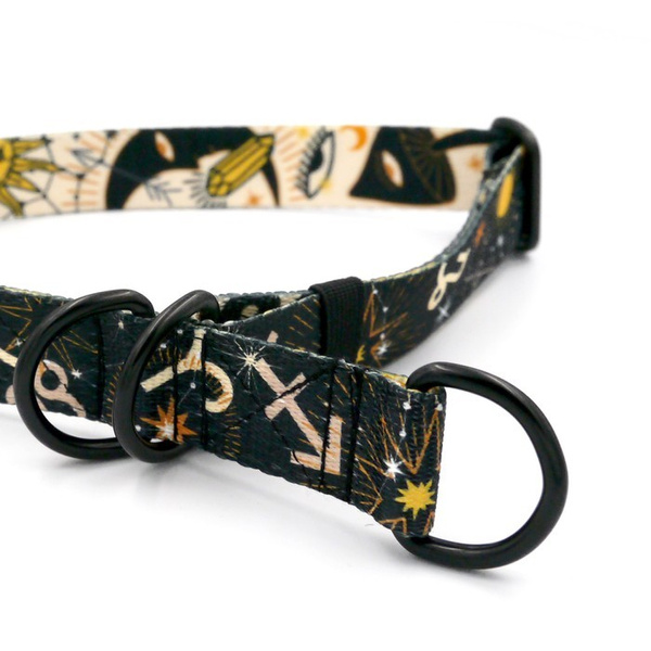 Half-choke collar Zodiak Psiakrew, 2.5 cm wide, medium and big dogs, black extras