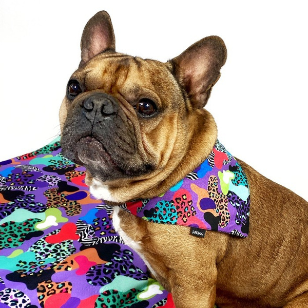 Premium Mat Plaid Blanket for the dog, Crazy Leopard Psiakrew Design