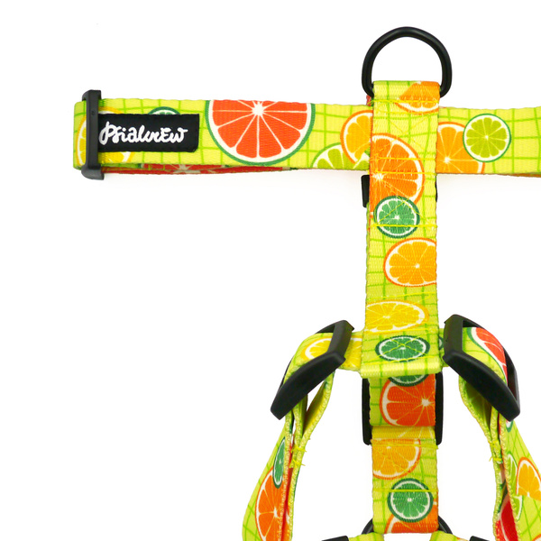 Szelki dla Psa Guard "Lemoniada" Psiakrew – Taśma 2,5 cm, Okucia Czarne