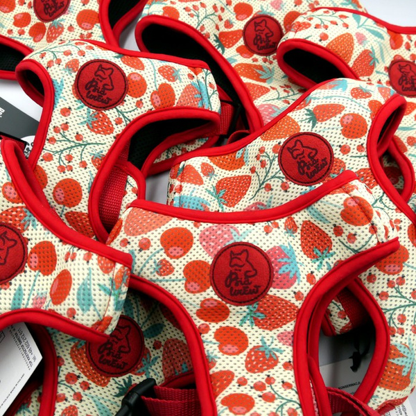 Dog Harness Fruit Jelly Psiakrew, Always Feeling Cool, Super Soft