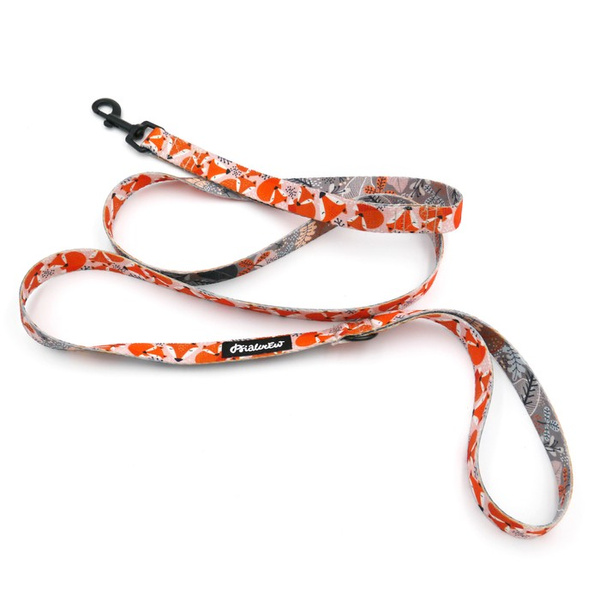 Laufleine für Hund Foxy Lady Psiakrew, Breite 2 cm, schwarzer Karabinerhaken 6 cm