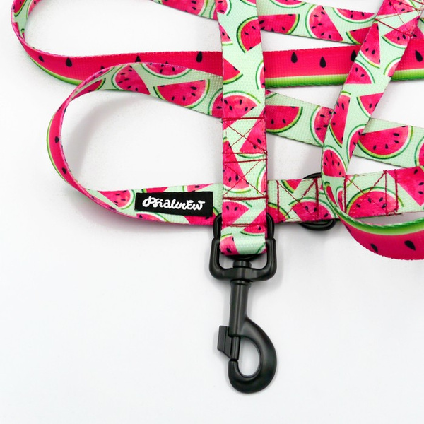Dog Leash Watermelon width 2.5 cm, 1" wide, big black snap hook