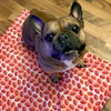 Waterproof Mat for the dog, puppy, cat, Lipstick, Psiakrew Design