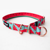 Half-choke collar Watermelon, 2.5 cm wide, medium and big dogs, rose gold