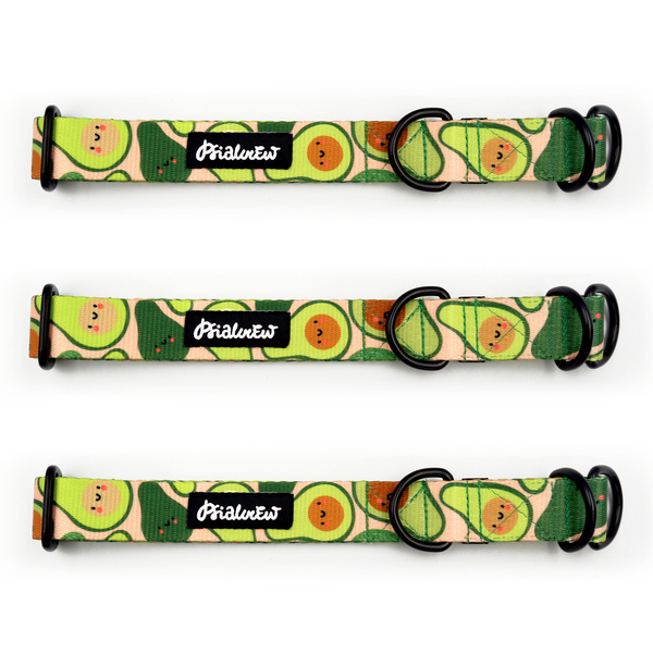 Half-choke collar Guacamole Time Psiakrew, 2.5 cm wide, medium and big dogs, black extras