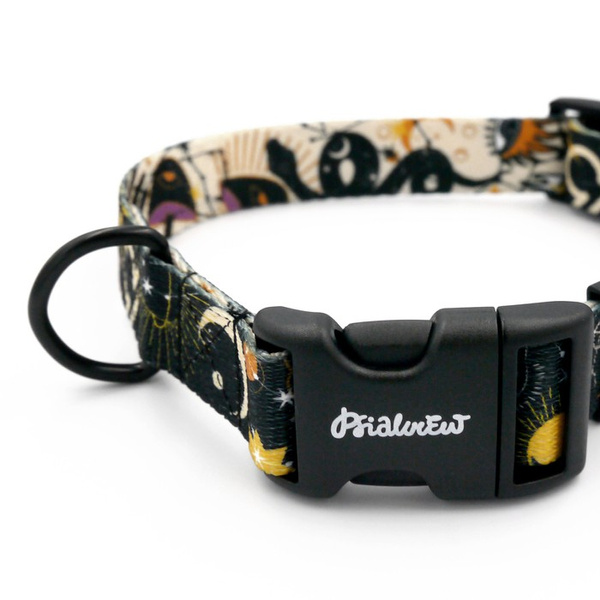 Dog Collar Psiakrew Zodiac 2.5 cm wide, black extras