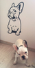Wandtattoo Hund Französische Bulldogge Wanddekoration für ein Kinderzimmer für einen Hundeliebhaber