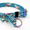 Half-choke collar Shark, 2 cm wide, for small dogs, Holo extras