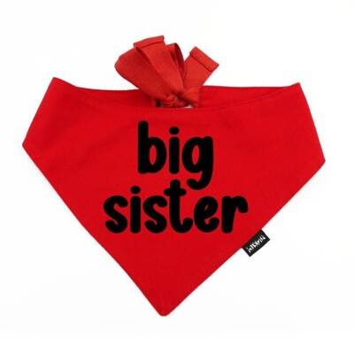 Bandana dla psa BIG SISTER Psiakrew, personalizowana wiązana chusteczka, czerwona bandana apaszka 